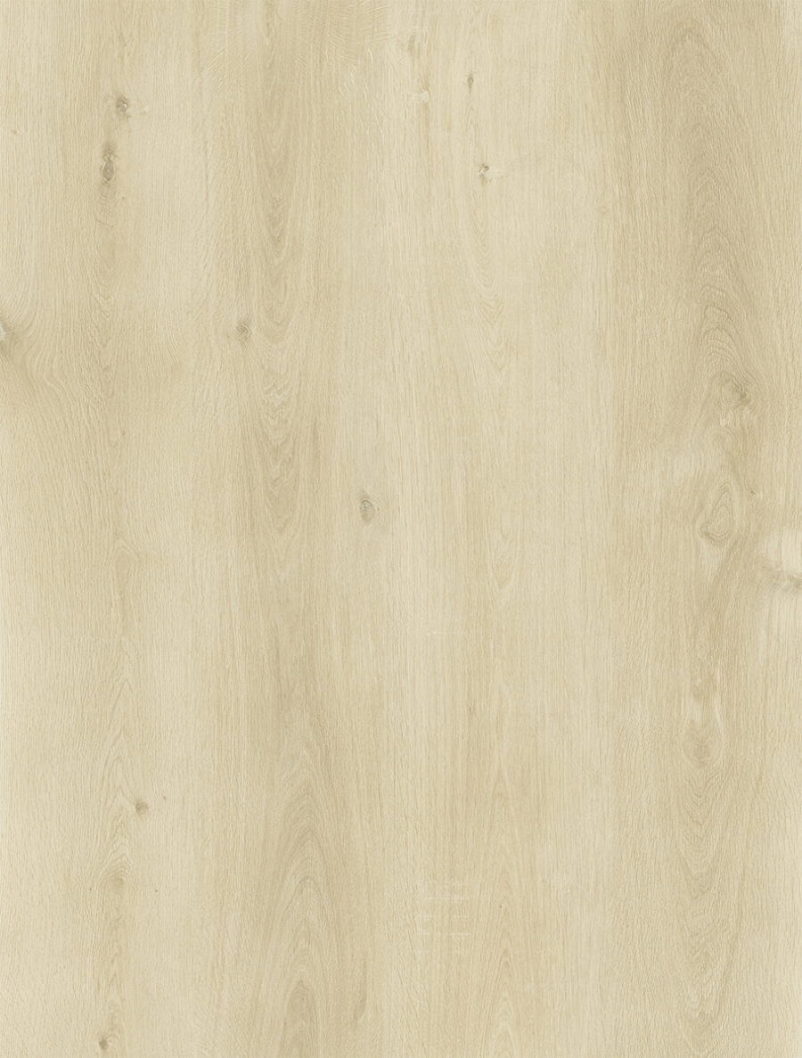 Sand Oak 510