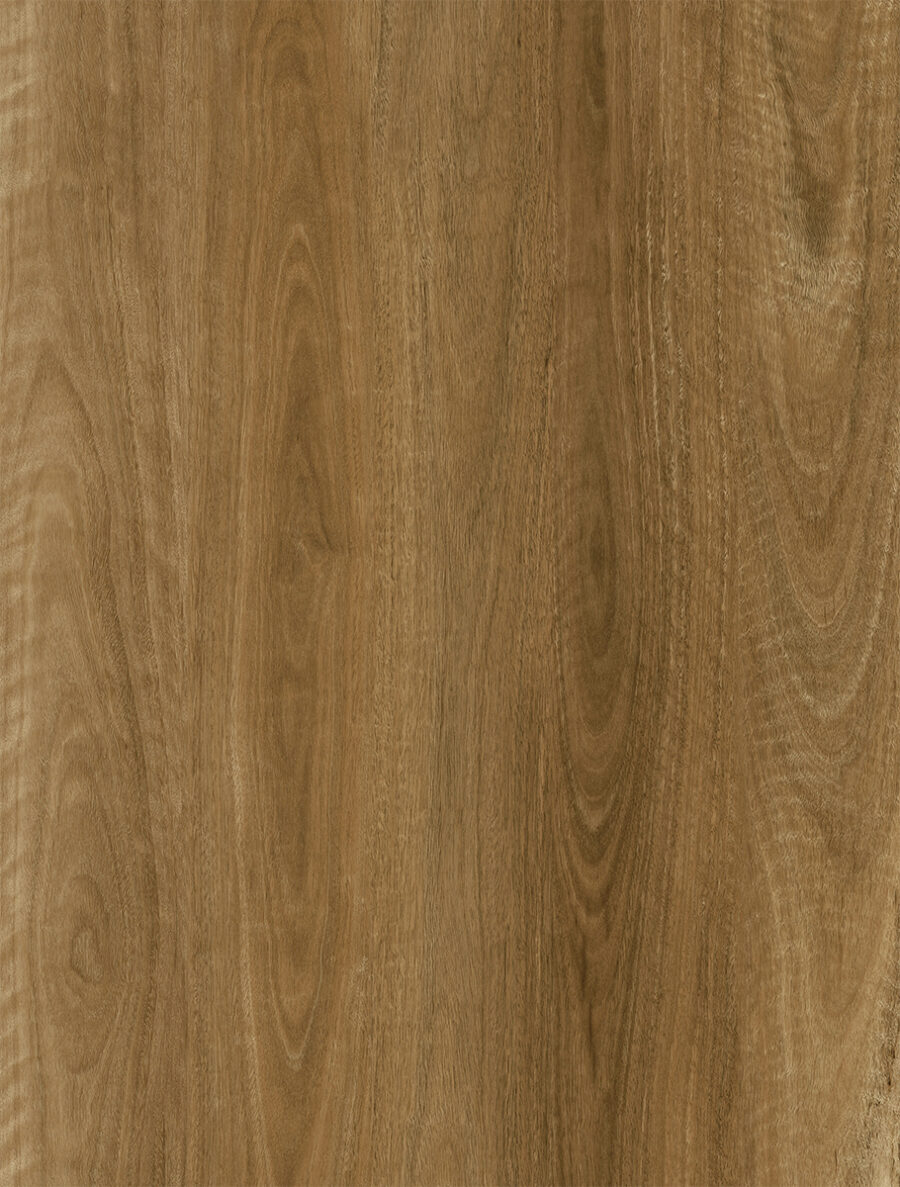 South Weathered Gum 559