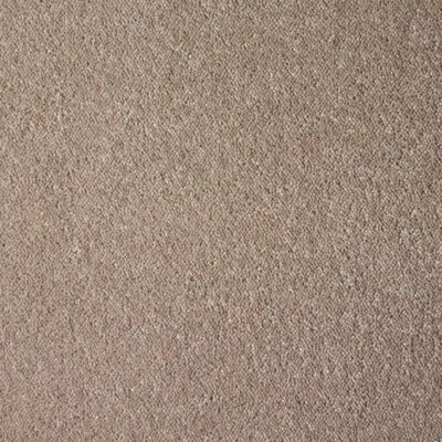 Taupe Tint 27