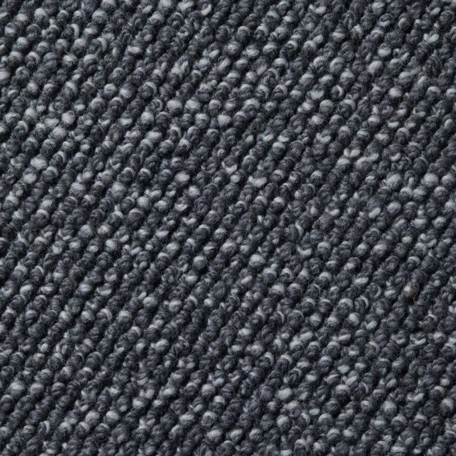 Sea Holly 86