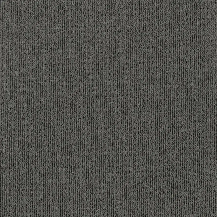 Wattle 2937