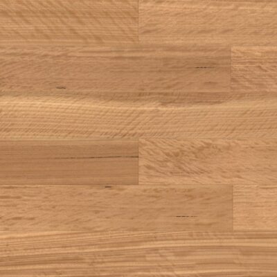 Blackbutt