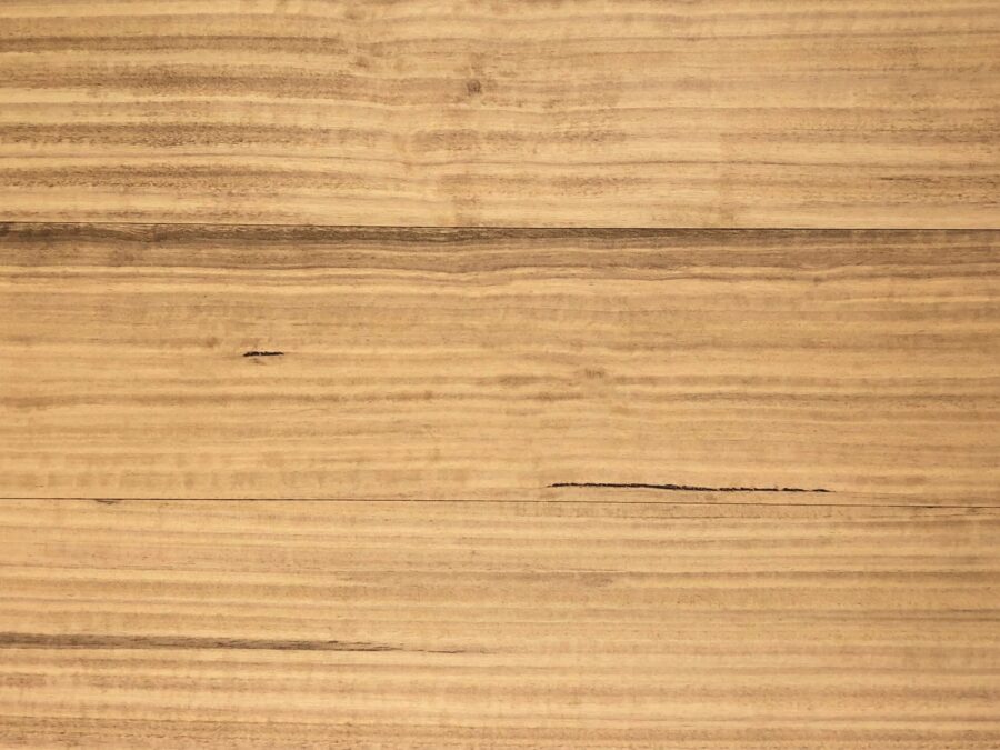 Silvertop Ash