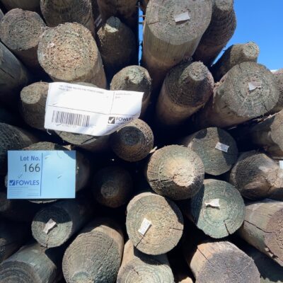 100-125MM TREATED PINE POINTED CAMBIO POLES 39/2.7