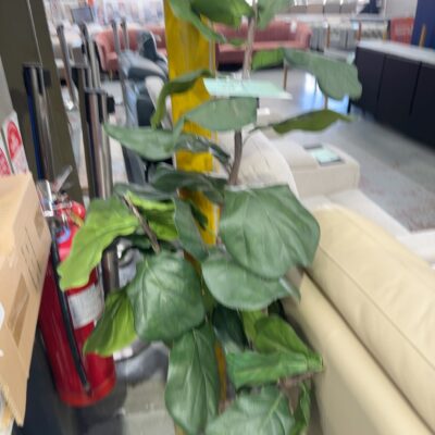 EX STAGING - FAUX PLANT, SOLD AS IS