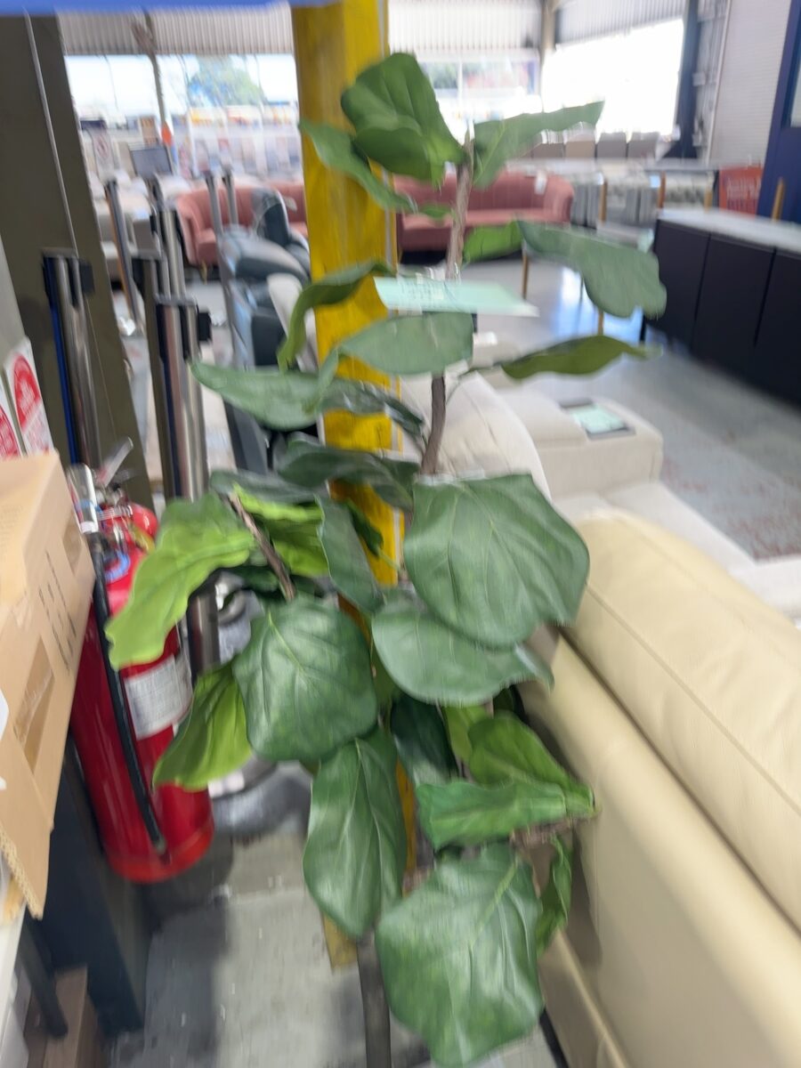 EX STAGING - FAUX PLANT, SOLD AS IS
