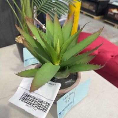 EX DISPLAY FAUX PLANT, SOLD AS IS