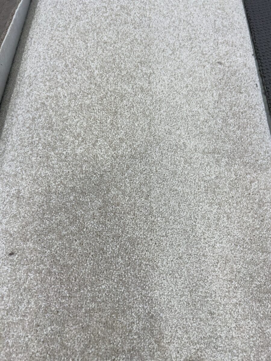 BEHMNCS - Harvest Moon Natural Canvas 2nds