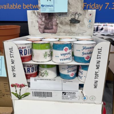 BOX OF 36 ASSORTED RETRO SMALL PLANT POTS