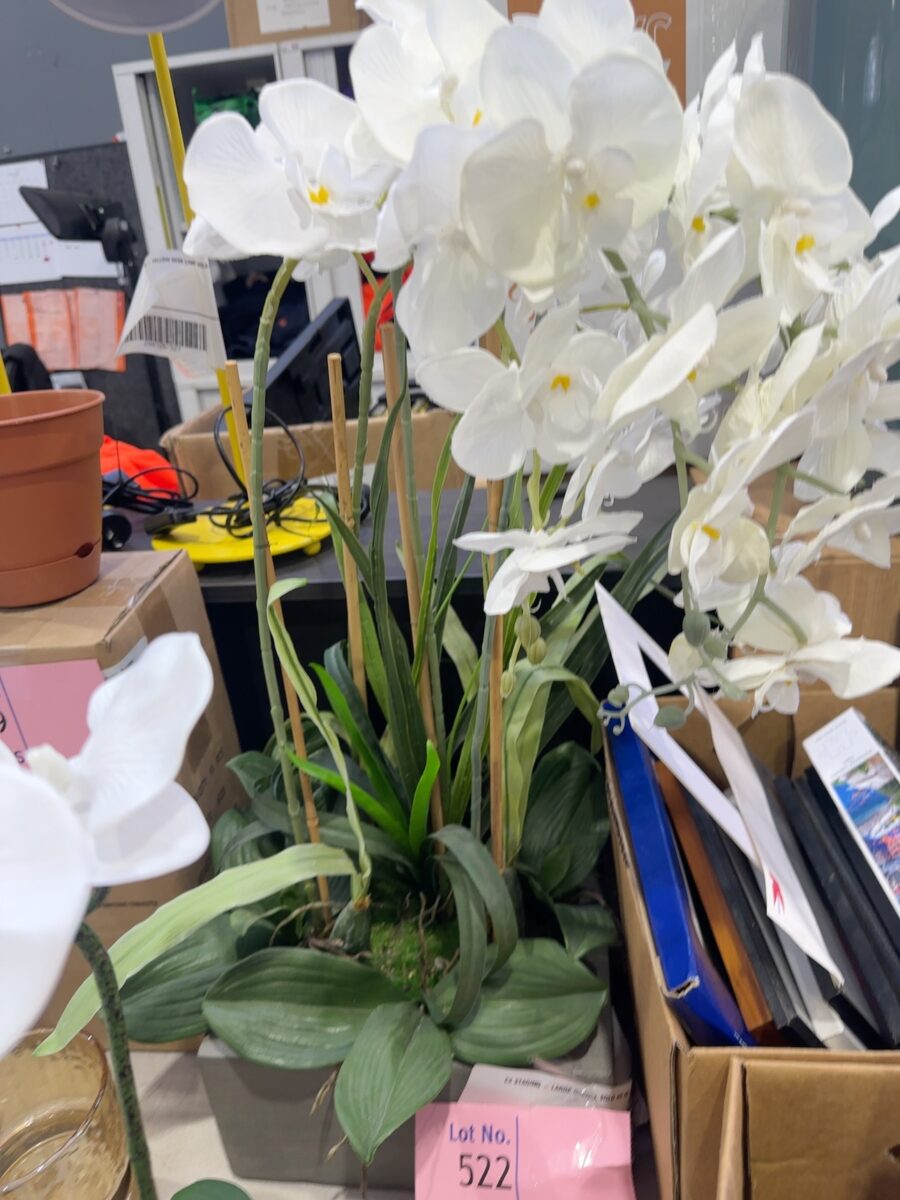 EX STAGING - LARGE ORCHID, SOLD AS IS