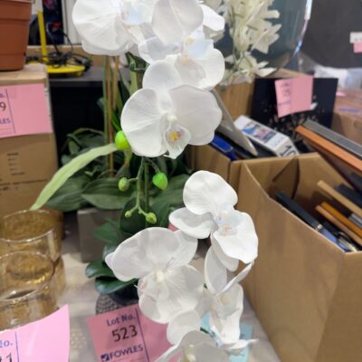 EX STAGING - SMALL ORCHID, SOLD AS IS