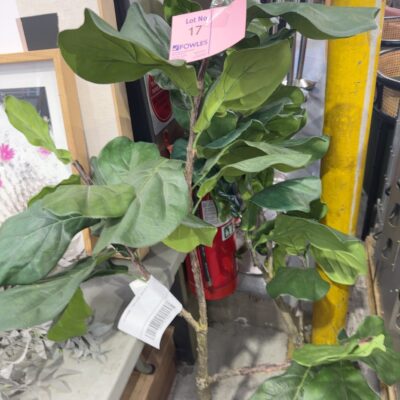 TEMP NAME – WILL UPDATE