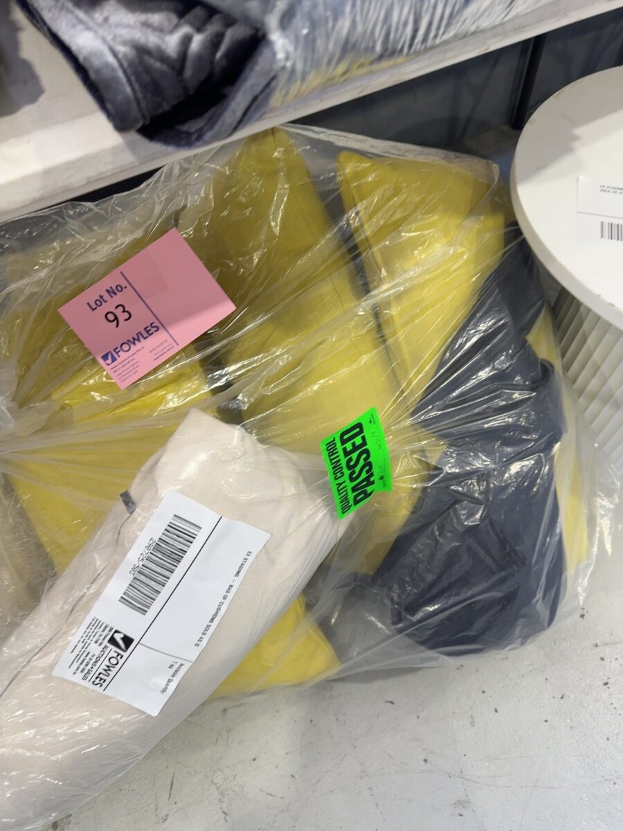 EX STAGING - BAG OF CUSHIONS SOLD AS IS