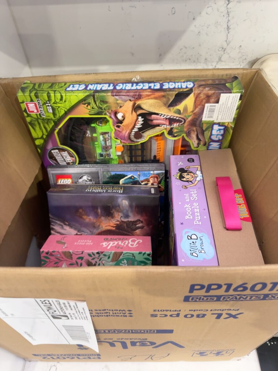 LOT OF ASSORTED TOYS