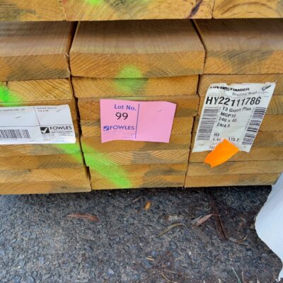 240X45 T3 GREEN MGP10 TREATED PINE-24/4.8