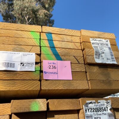 240X45 T3 GREEN MGP10 TREATED PINE-24/4.2