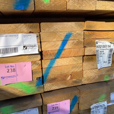 240X45 T3 GREEN MGP10 TREATED PINE-24/4.2