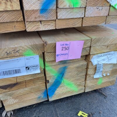 240X45 T3 GREEN MGP10 TREATED PINE-24/4.2