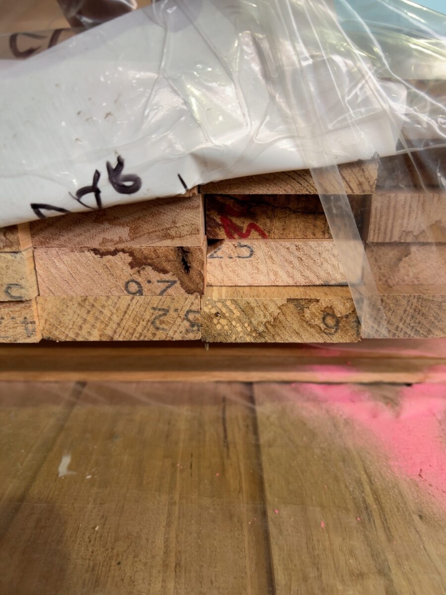 65X19 AUS OAK DAR CLASSIC KD HARDWOOD
