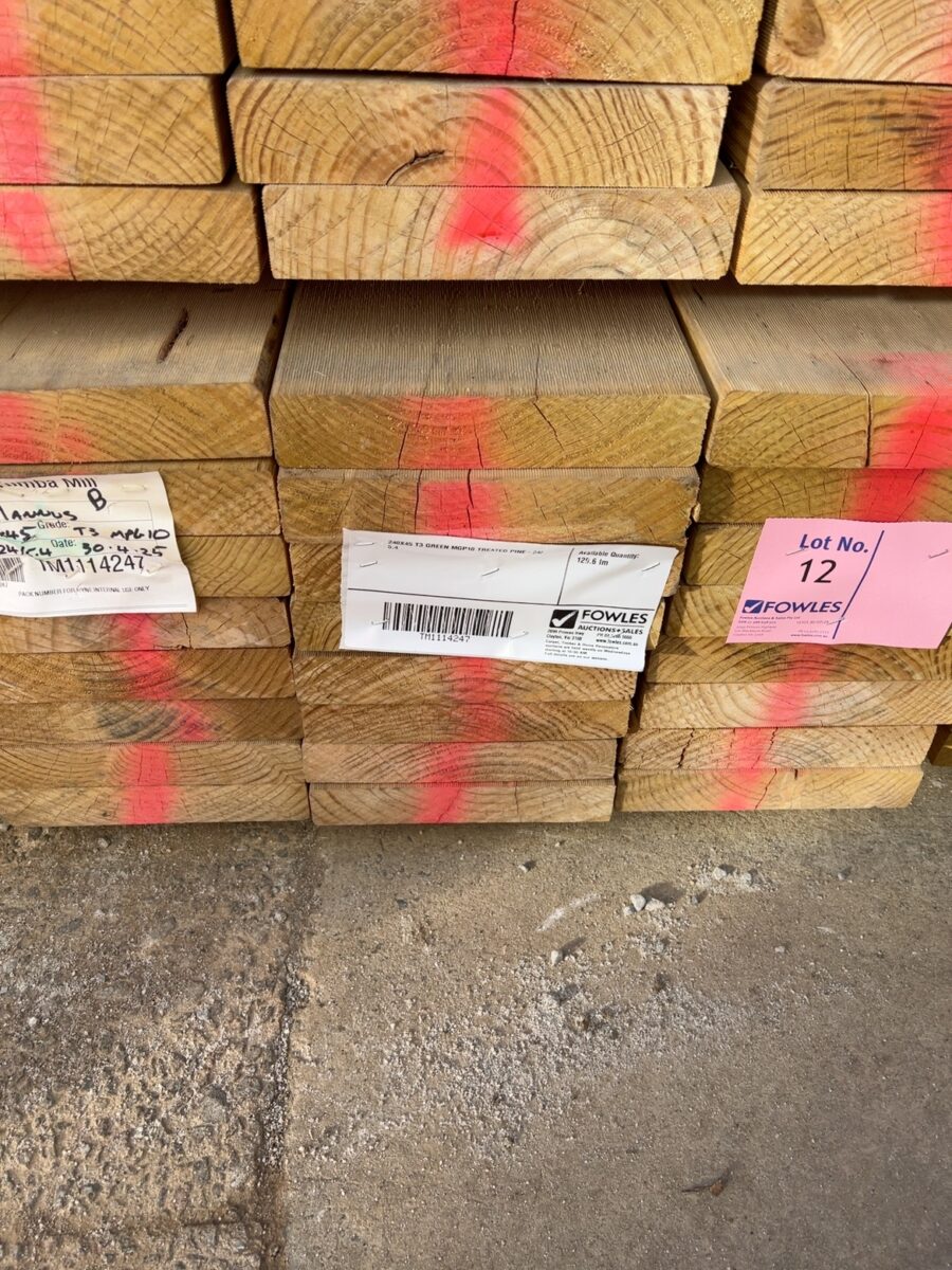 240X45 T3 GREEN MGP10 TREATED PINE-24/5.4