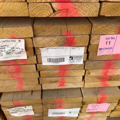 240X45 T3 GREEN MGP10 TREATED PINE-24/5.4