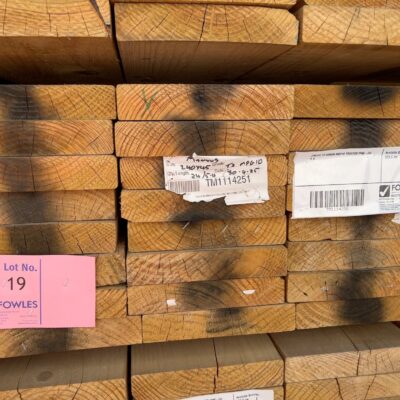 240X45 T3 GREEN MGP10 TREATED PINE-24/5.4