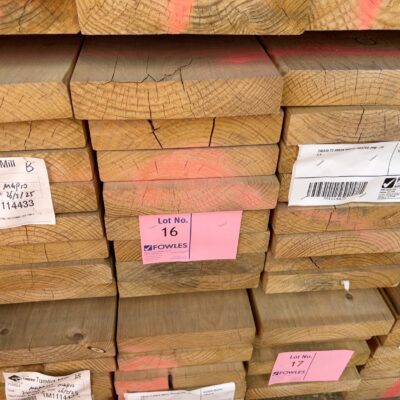 240X45 T3 GREEN MGP10 TREATED PINE-24/5.4