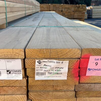240X45 T3 GREEN MGP10 TREATED PINE-24/5.4