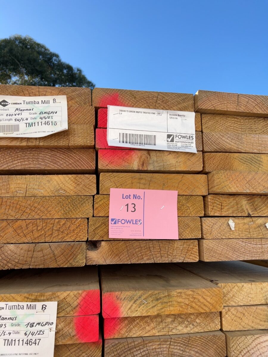 240X45 T3 GREEN MGP10 TREATED PINE-24/5.4