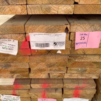 240X45 T3 GREEN MGP10 TREATED PINE-24/5.4