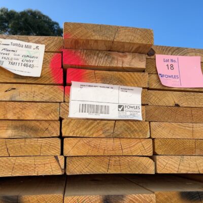 240X45 T3 GREEN MGP10 TREATED PINE-24/5.4