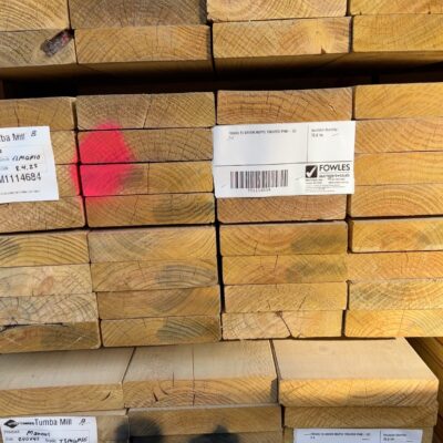 190X45 T3 GREEN MGP10 TREATED PINE- 32/2.4