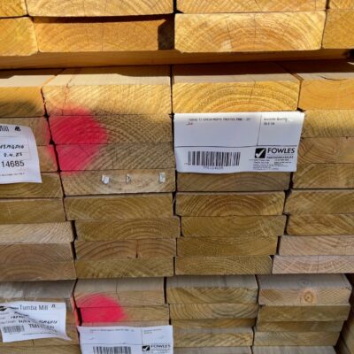 190X45 T3 GREEN MGP10 TREATED PINE- 32/2.4