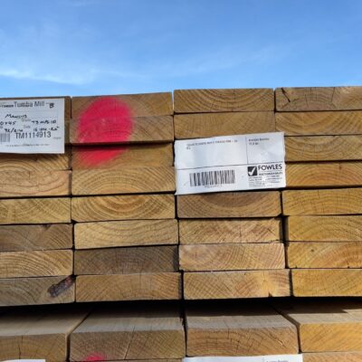 190X45 T3 GREEN MGP10 TREATED PINE- 32/2.4