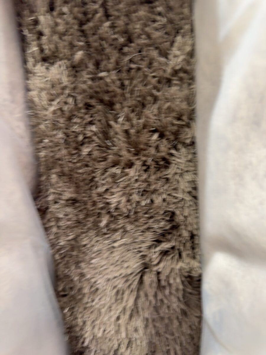 NEW NOAH SHAGGY RUG 200CM X 290CM RRP$999