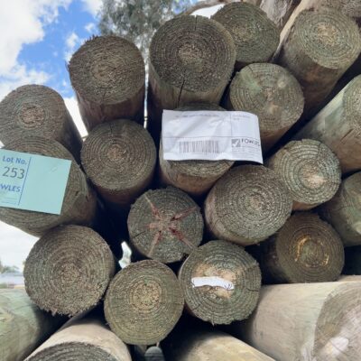 150-175MM TREATED PINE POLES-20/3.0