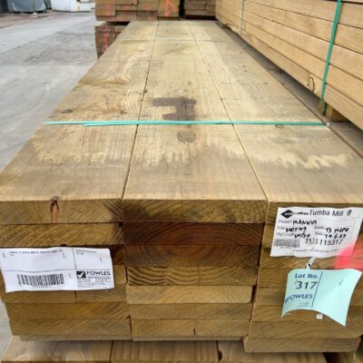 240X45 T3 GREEN MGP10 TREATED PINE-24/3.0