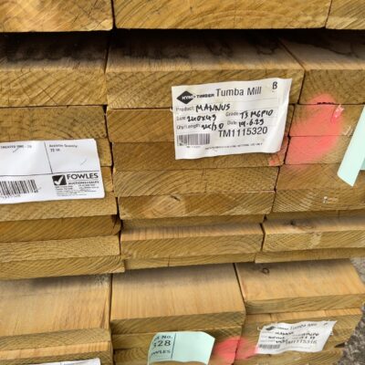 240X45 T3 GREEN MGP10 TREATED PINE-24/3.0