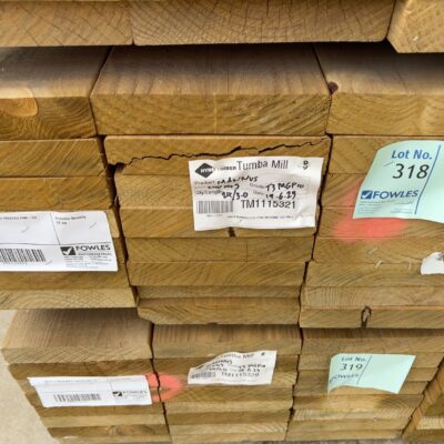 240X45 T3 GREEN MGP10 TREATED PINE-24/3.0