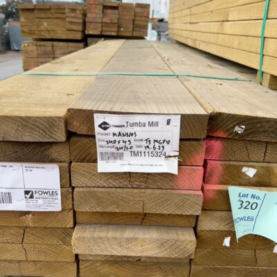 240X45 T3 GREEN MGP10 TREATED PINE-24/3.0