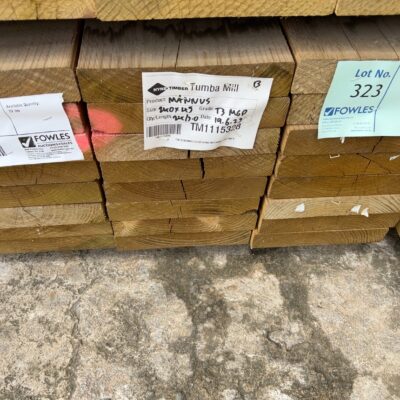 240X45 T3 GREEN MGP10 TREATED PINE-24/3.0