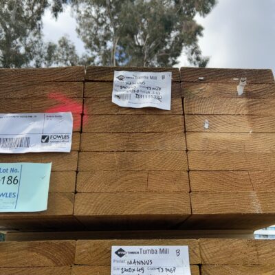 240X45 T3 GREEN MGP10 TREATED PINE-24/3.0