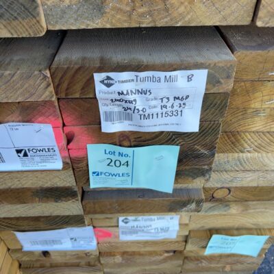 240X45 T3 GREEN MGP10 TREATED PINE-24/3.0
