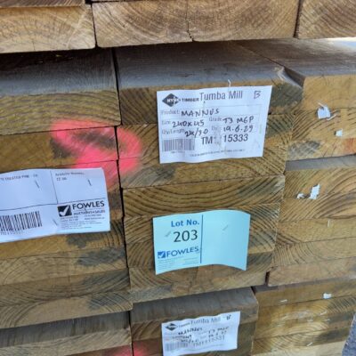 240X45 T3 GREEN MGP10 TREATED PINE-24/3.0