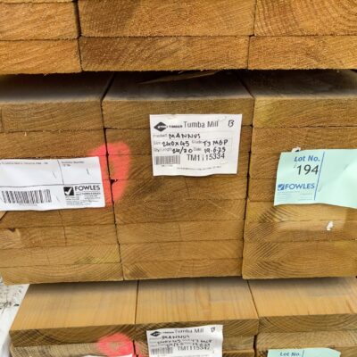 240X45 T3 GREEN MGP10 TREATED PINE-24/3.0