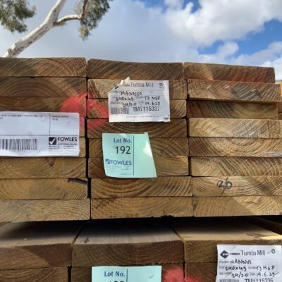 240X45 T3 GREEN MGP10 TREATED PINE-24/3.0
