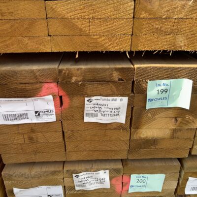 240X45 T3 GREEN MGP10 TREATED PINE-24/3.0