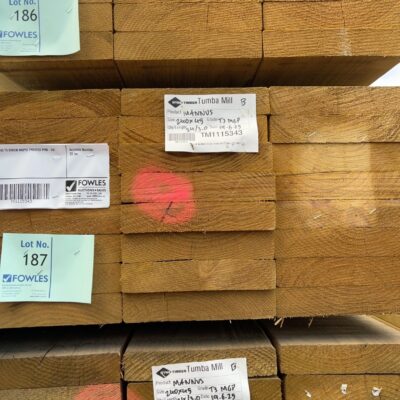 240X45 T3 GREEN MGP10 TREATED PINE-24/3.0