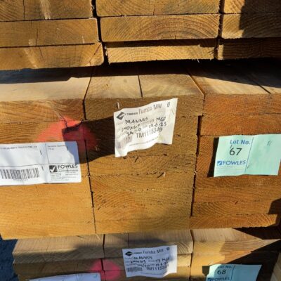 240X45 T3 GREEN MGP10 TREATED PINE-24/3.0