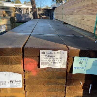 240X45 T3 GREEN MGP10 TREATED PINE-24/3.0